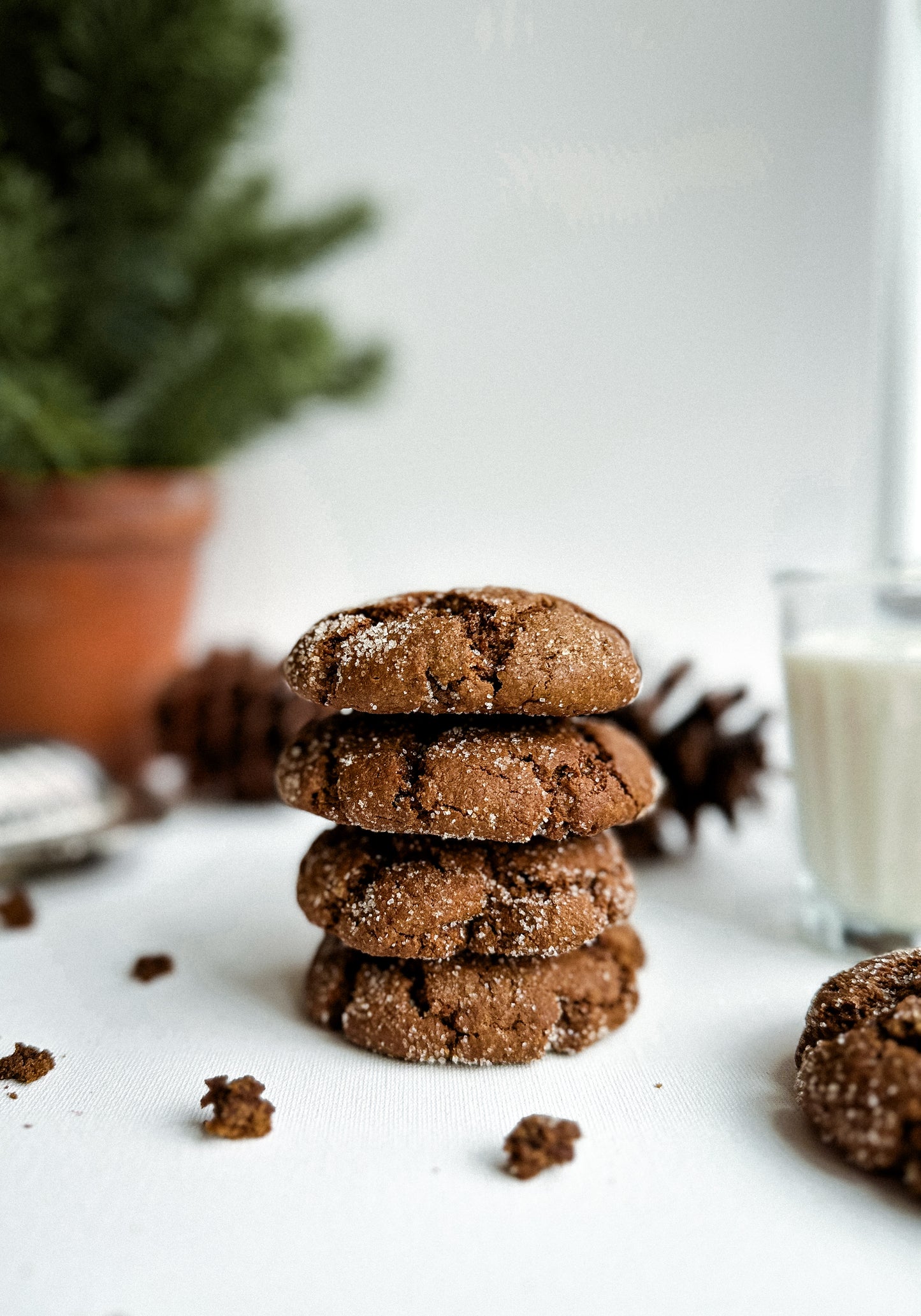 Ginger Molasses Cookies